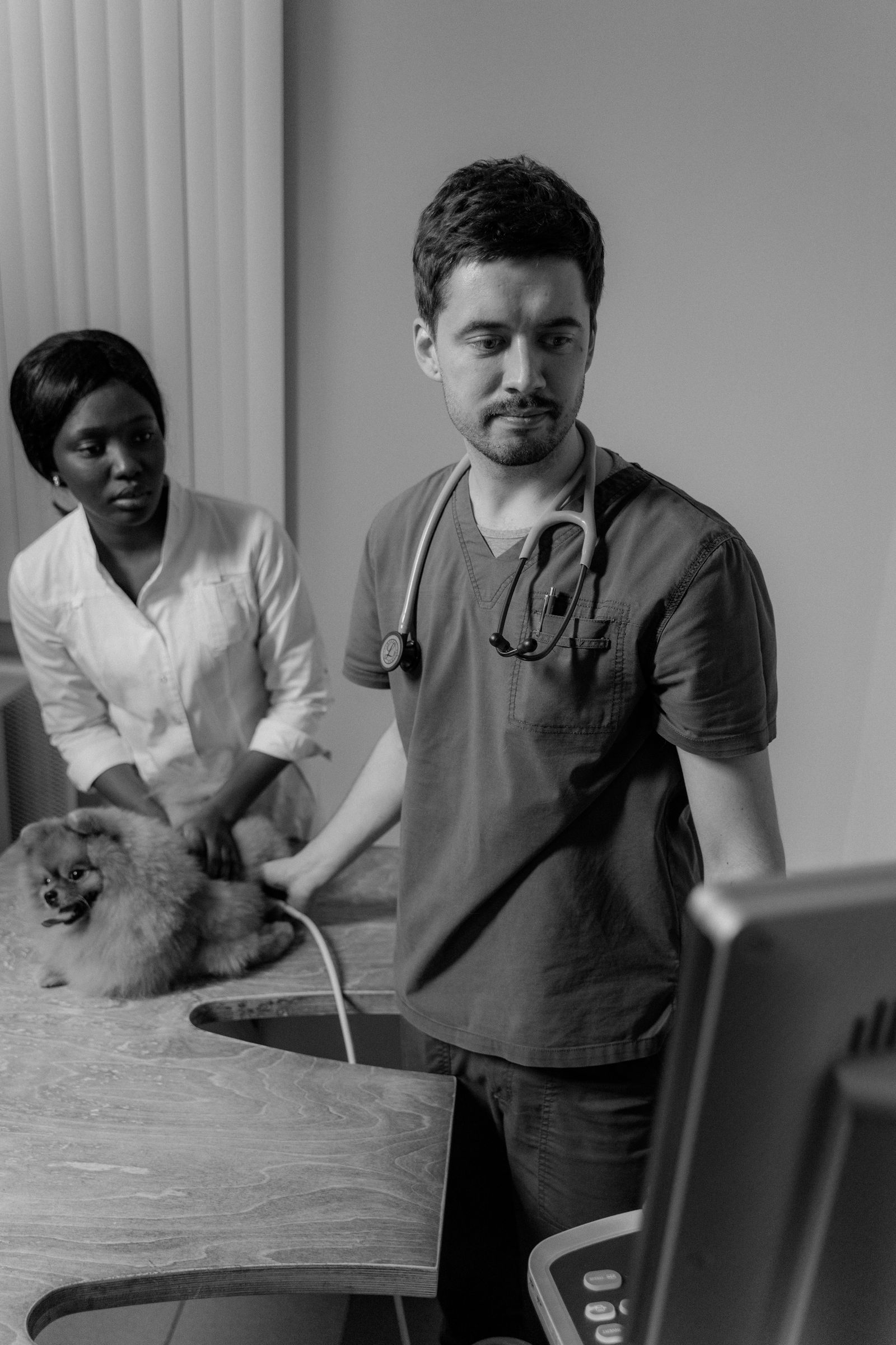 Equipo de la clínica atendiendo a un perro pequeño